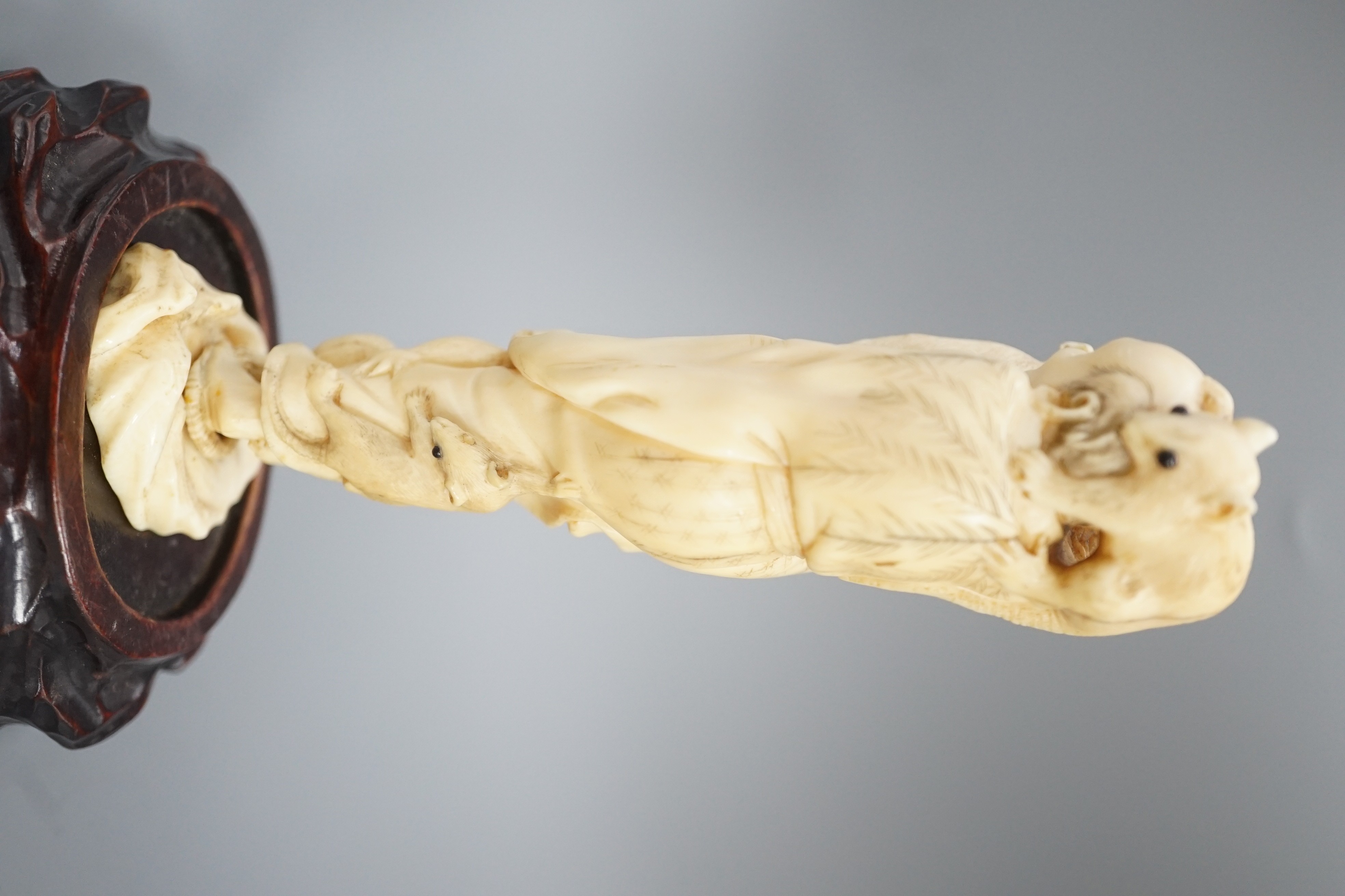 A Japanese ivory okimono of a man with giant rats clambering over him, signed, late 19th century 12.5cm, wood stand